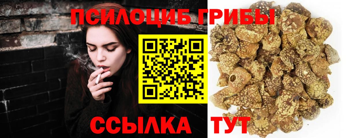 Галлюциногенные грибы Cubensis Нальчик